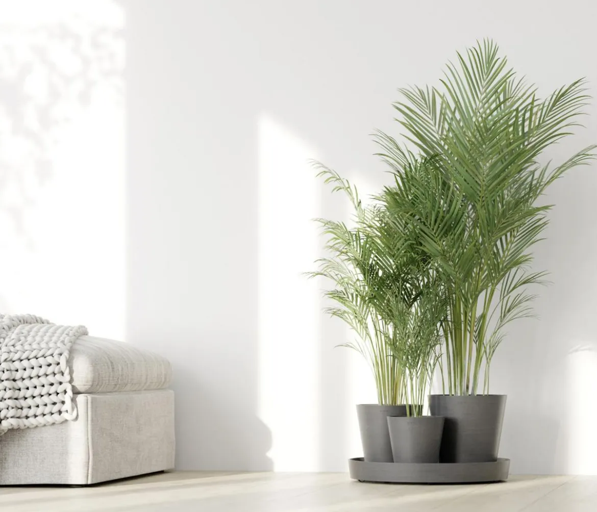 Ecopots Kunststoff-Topf-Set Dubai mit Untersetzer, 4-teilig