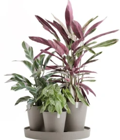 Ecopots Kunststoff-Topf-Set Dubai mit Untersetzer, 4-teilig