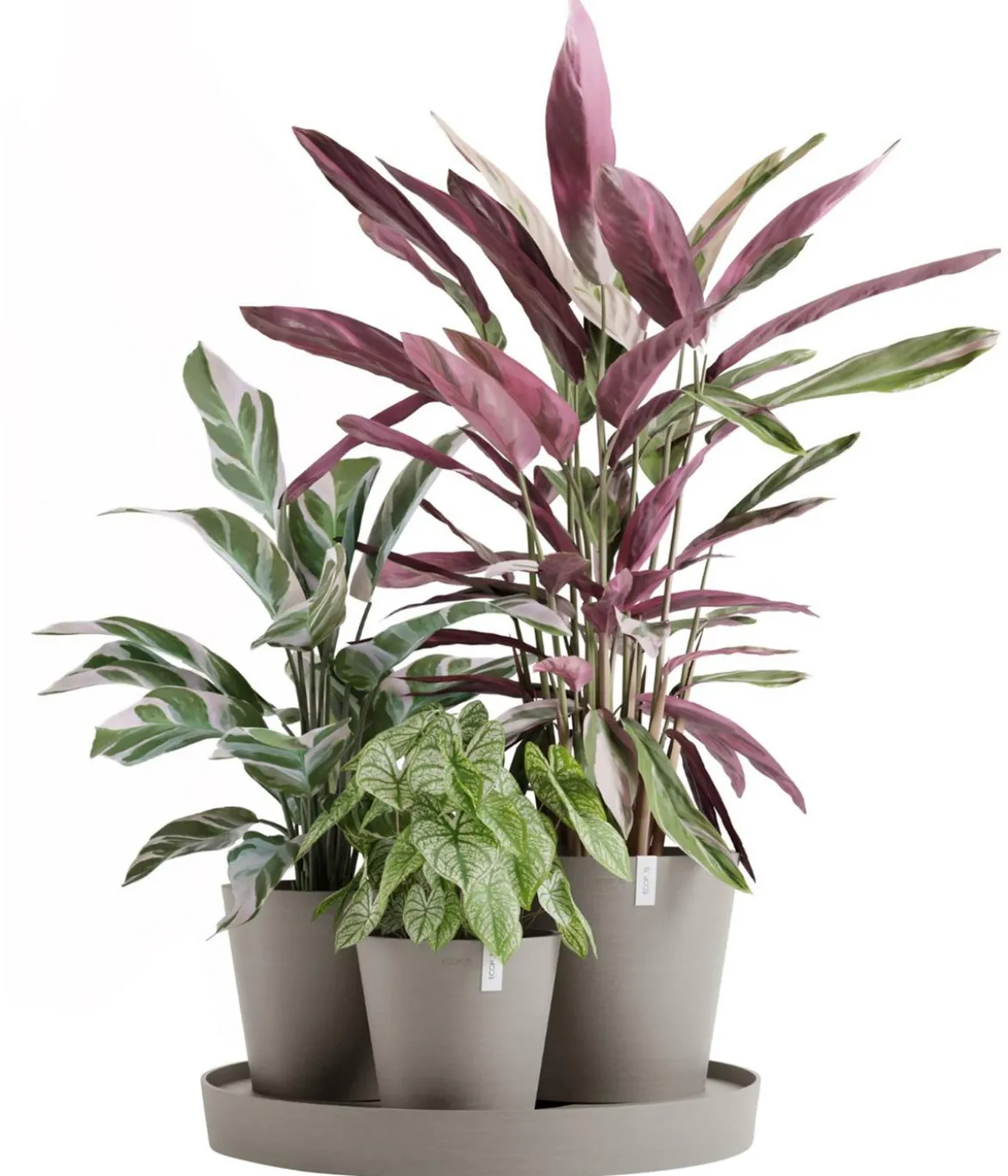 Ecopots Kunststoff-Topf-Set Dubai mit Untersetzer, 4-teilig