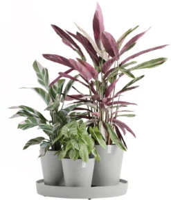 Ecopots Kunststoff-Topf-Set Dubai mit Untersetzer, 4-teilig