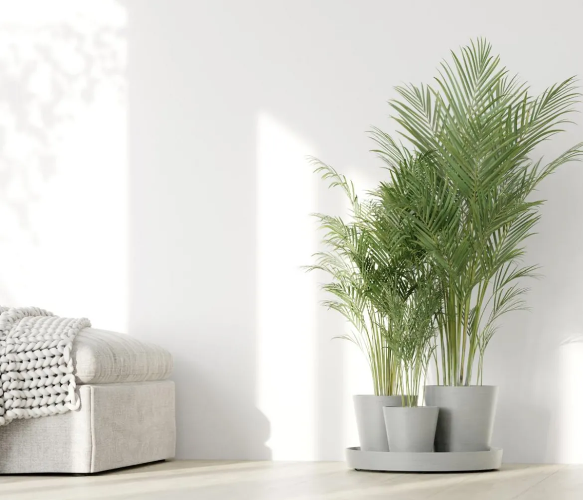Ecopots Kunststoff-Topf-Set Dubai mit Untersetzer, 4-teilig