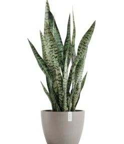 Ecopots Kunststoff-Topf Stockholm, rund