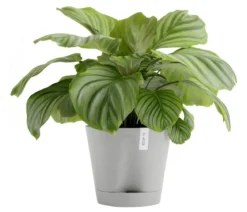 Ecopots Kunststoff-Topf Venice 2, rund