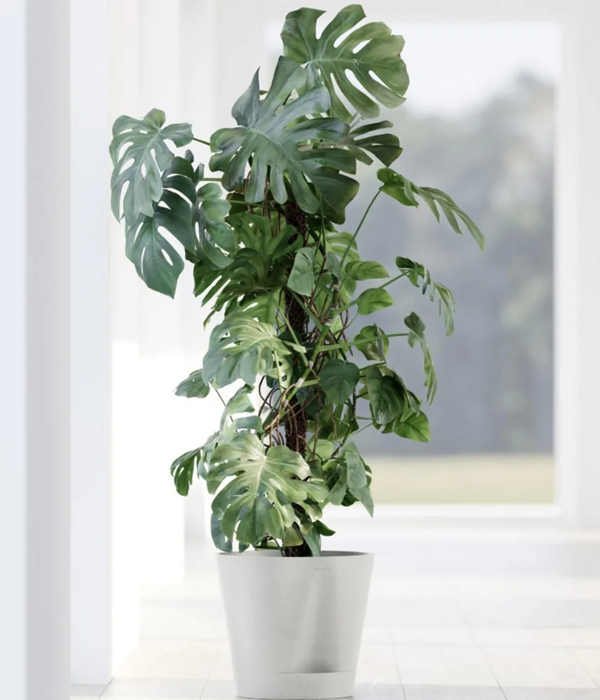 Ecopots Kunststoff-Topf Venice 2, rund