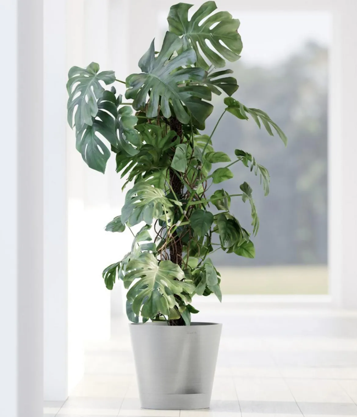 Ecopots Kunststoff-Topf Venice 2, rund