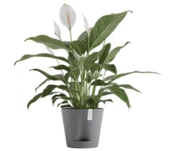 Ecopots Kunststoff-Topf Venice 2, rund