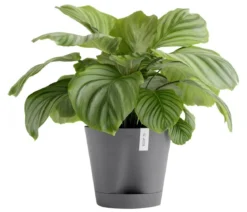 Ecopots Kunststoff-Topf Venice 2, rund