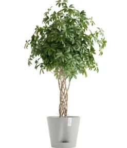 Ecopots Kunststoff-Topf Venice 2, rund