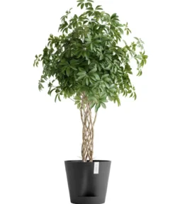 Ecopots Kunststoff-Topf Venice 2, rund