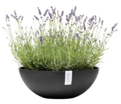 Ecopots Kunststoff-Topf Vienna, oval
