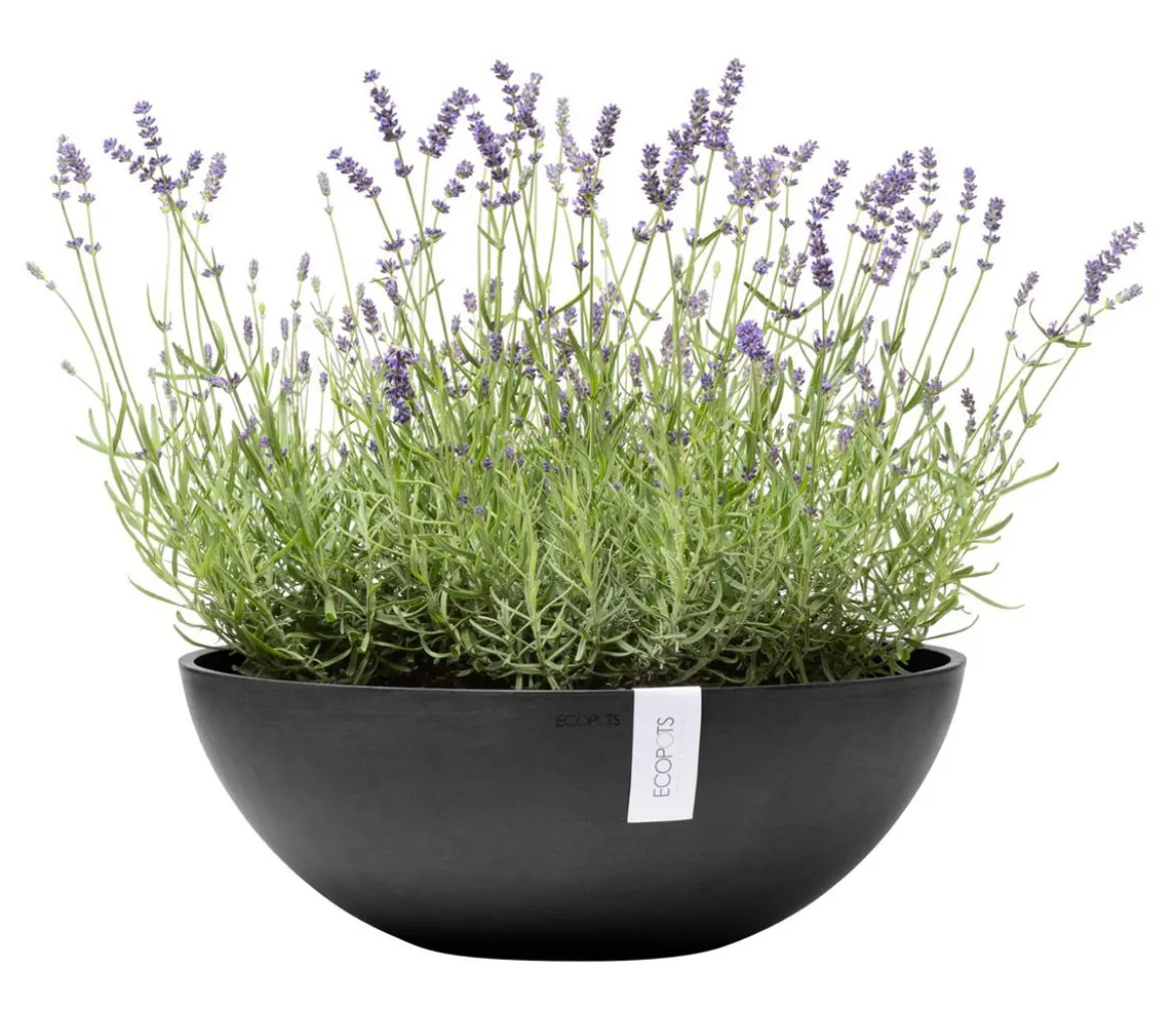 Ecopots Kunststoff-Topf Vienna, oval