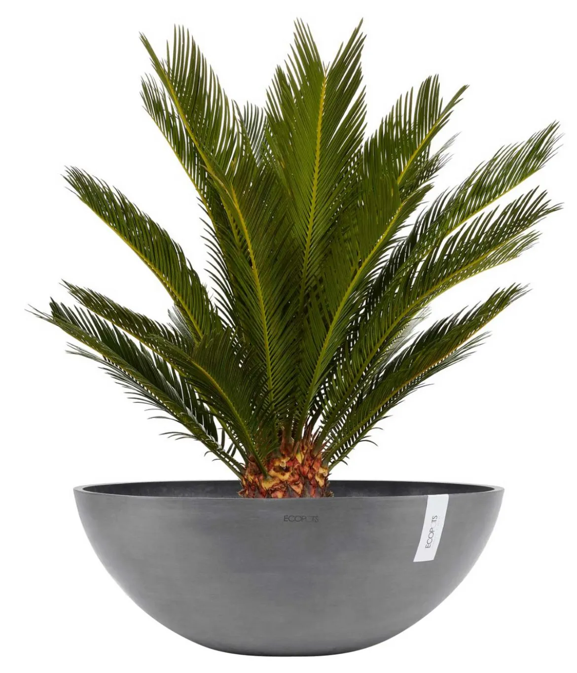 Ecopots Kunststoff-Topf Vienna, oval