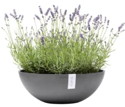 Ecopots Kunststoff-Topf Vienna, oval
