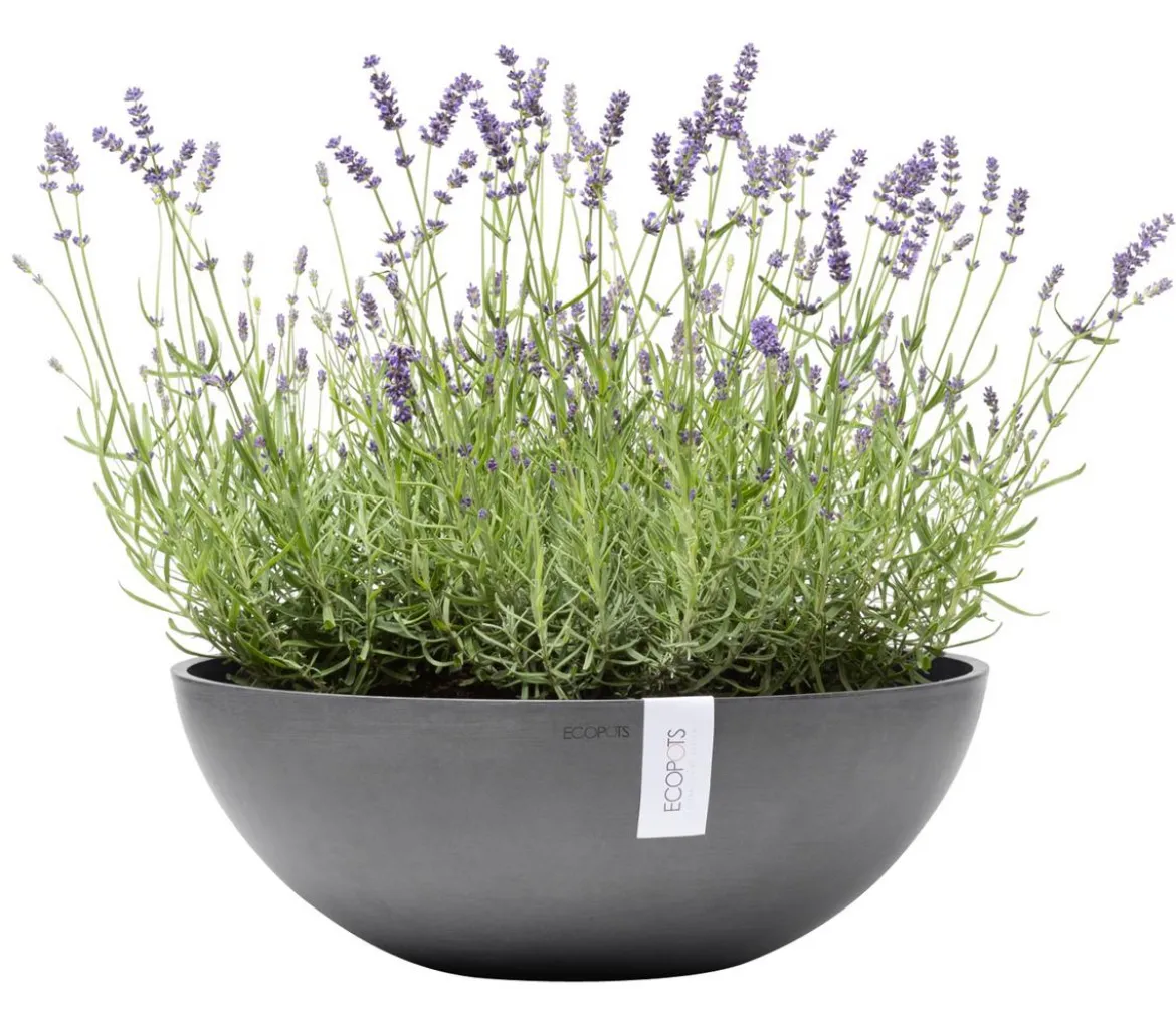 Ecopots Kunststoff-Topf Vienna, oval