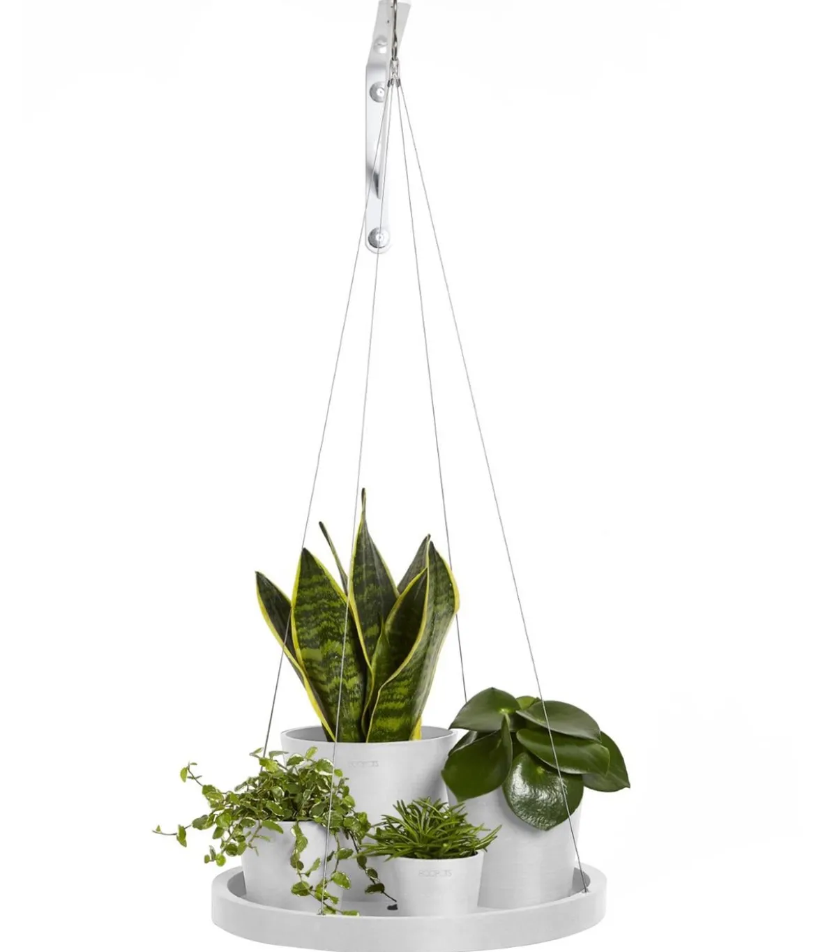 Ecopots Kunststoff-Untersetzer hängend, rund, ca. Ø36/H3 cm