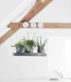 Ecopots Kunststoff-Untersetzer hängend, rund, ca. Ø36/H3 cm