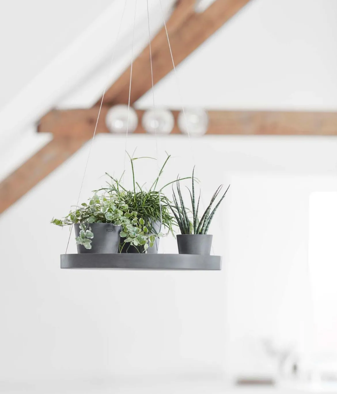Ecopots Kunststoff-Untersetzer hängend, rund, ca. Ø36/H3 cm