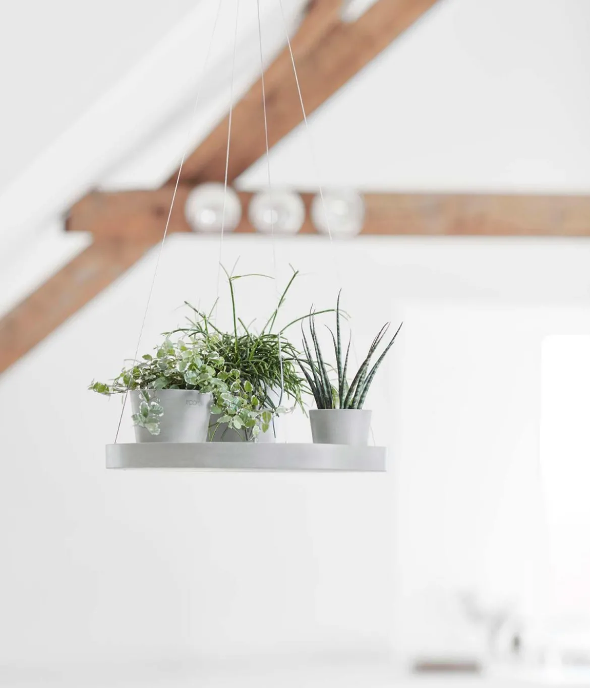 Ecopots Kunststoff-Untersetzer hängend, rund, ca. Ø36/H3 cm