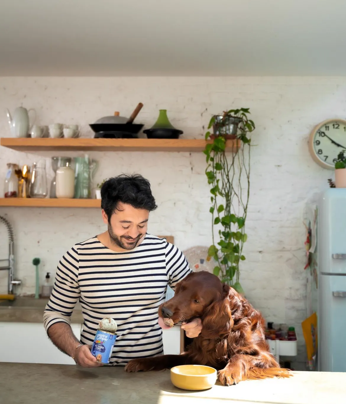 Edgard & Cooper Nassfutter für Hunde, Delikater ASC Lachs & Truthahn Adult, 6 x 400 g