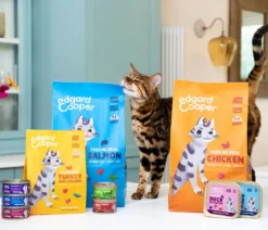 Edgard & Cooper Nassfutter für Katzen Wildfang-Thunfisch & Garnele Filets, 24 x 70 g