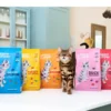 Edgard & Cooper Trockenfutter für Katzen Frischer Atlantik-Lachs Adult