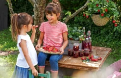 Erdbeer-Set Erdbeer-Sommer, 4 Sorten, 8er-Schale