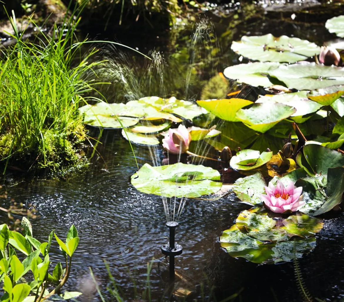 Esotec Solarpumpe Palermo LED für den Gartenteich