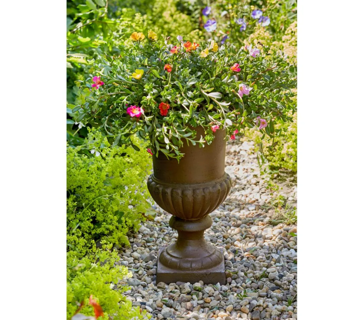 Esschert Design Französische Pflanzvase aus Gusseisen, dunkelbraun