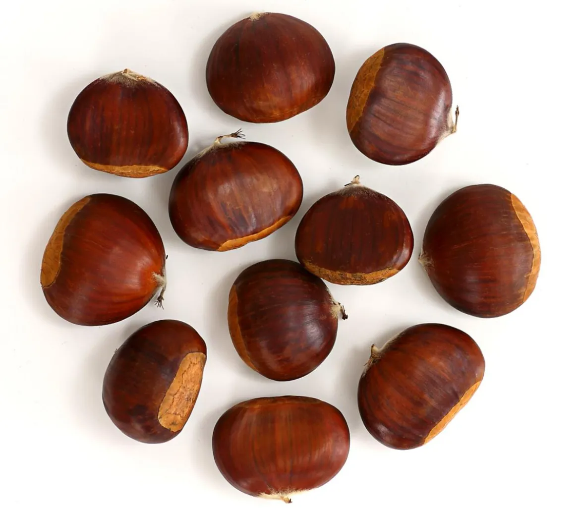 Esskastanie 'Bouche de Betizac'