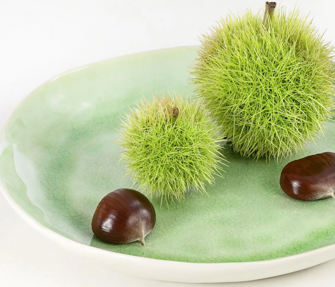 Esskastanie 'Bouche de Betizac'
