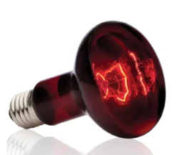 Exo Terra® Infrared Basking Spot