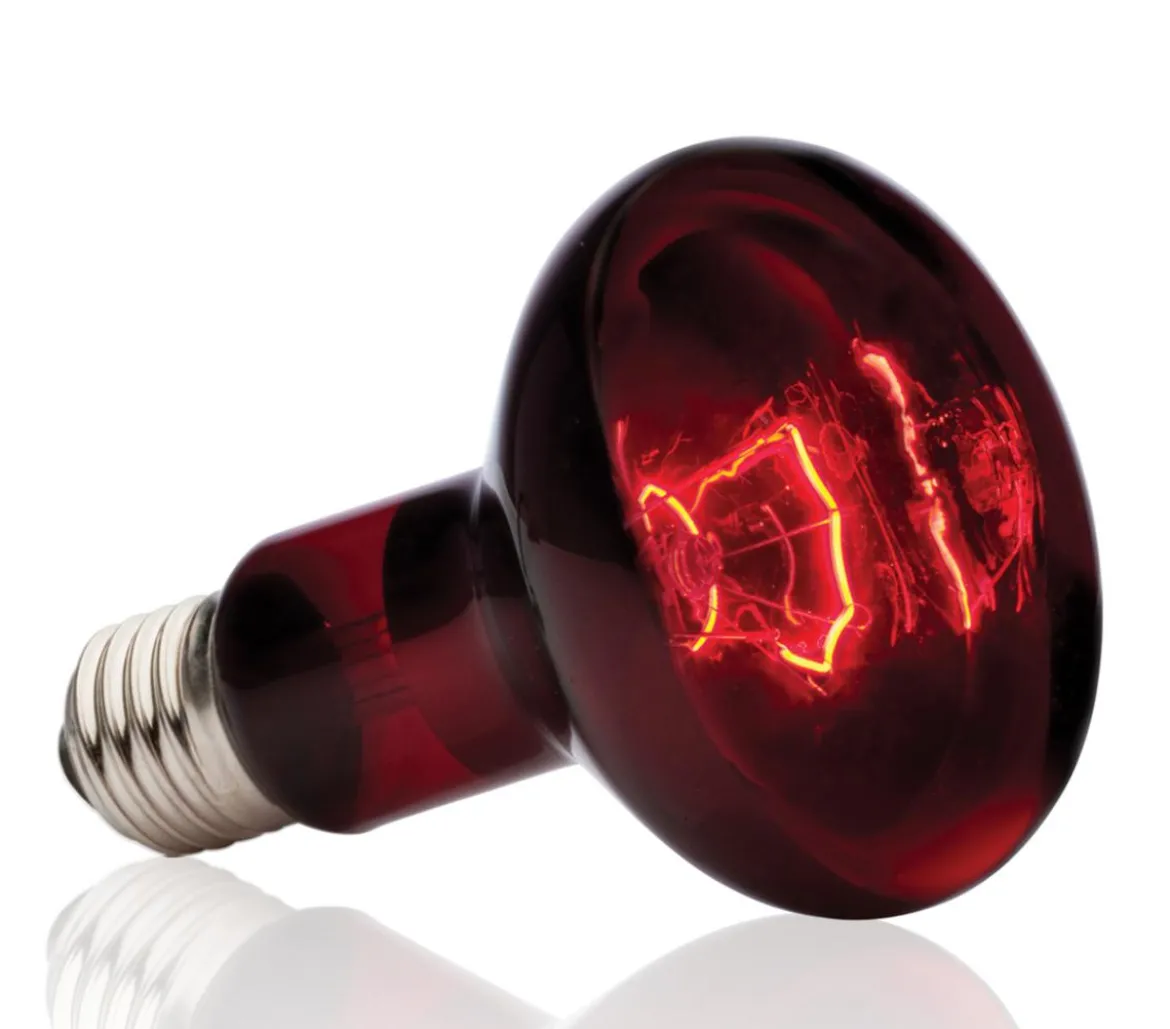 Exo Terra® Infrared Basking Spot