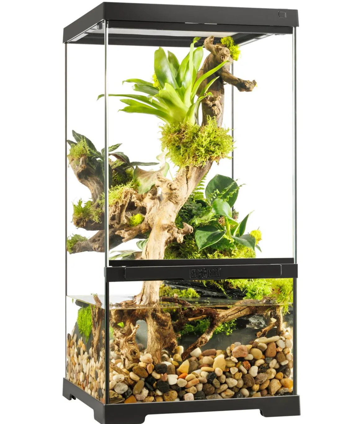 Exo Terra® Pro Paludarium, ca. B30/H30/T60 cm