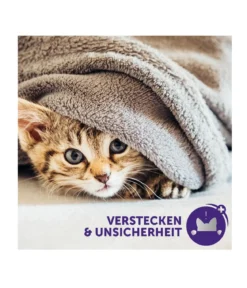 FELIWAY® Alltagshelfer Classic Start-Set