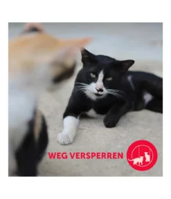 FELIWAY® Alltagshelfer Friends Nachfüllflakon