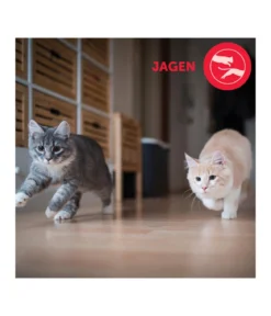FELIWAY® Alltagshelfer Friends Nachfüllflakon
