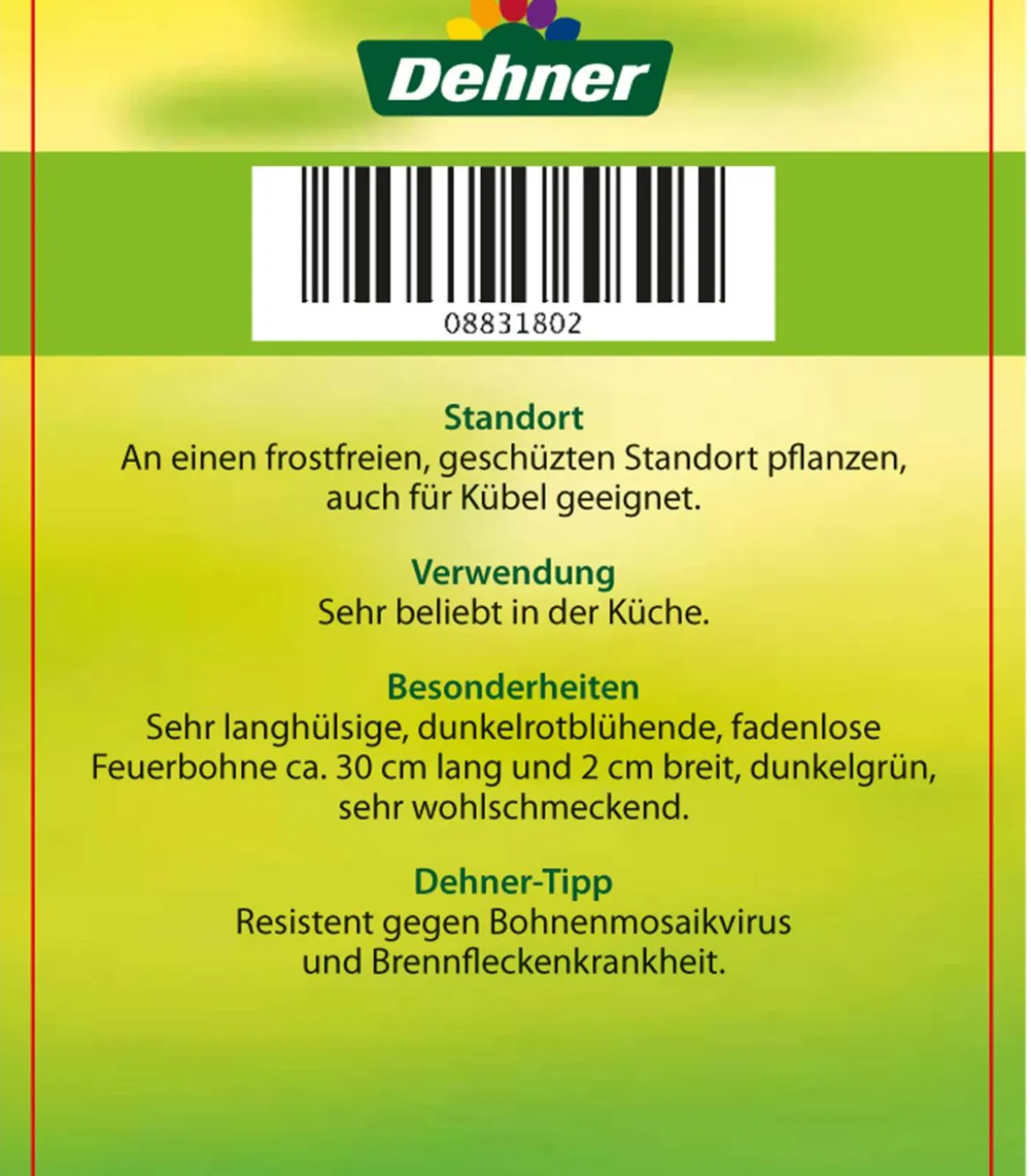 Feuerbohne