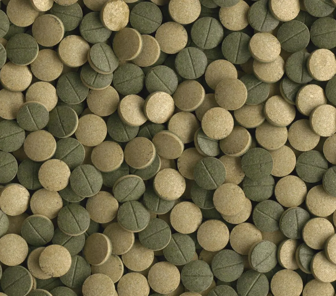 Fischfutter Tetra Pleco Tablets
