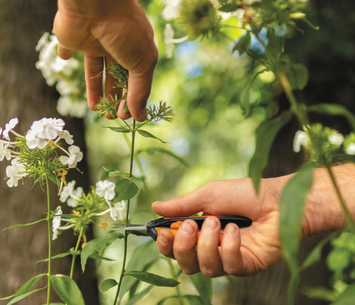 Fiskars Gartenschere Micro-Tip SP13
