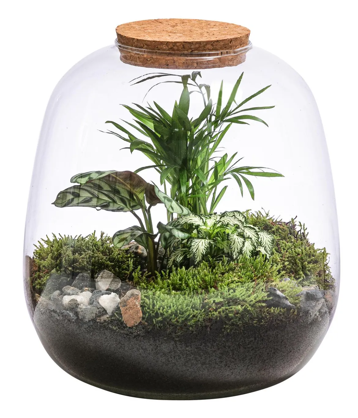 Flaschengarten DIY-Set Mini-Urwald, 8-teilig
