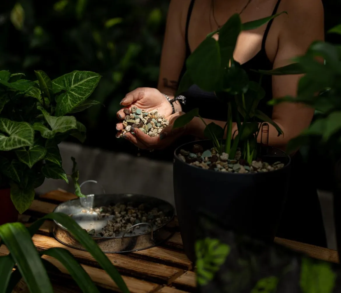 Floragard Green Jungle Mix