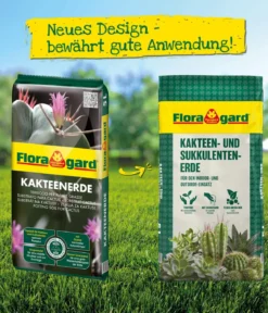 Floragard Kakteen- und Sukkulentenerde, 3 x 10 l