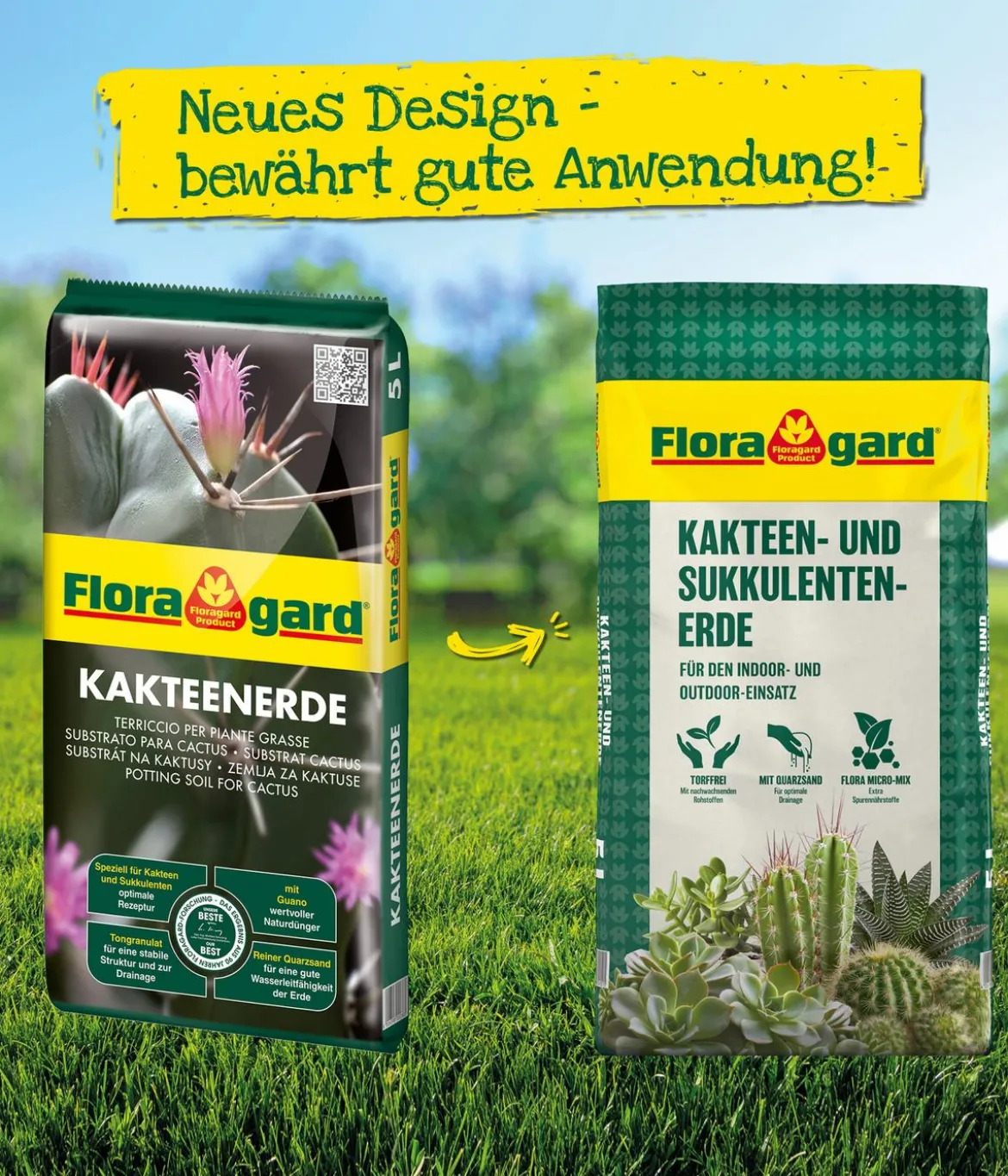 Floragard Kakteen- und Sukkulentenerde, 3 x 10 l