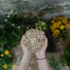 Floragard Miscanthus Mulch, 125 l