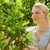 Floragard Zitrus- und Mediterranpflanzenerde