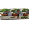Florex Kräutertopf, 3 Stück