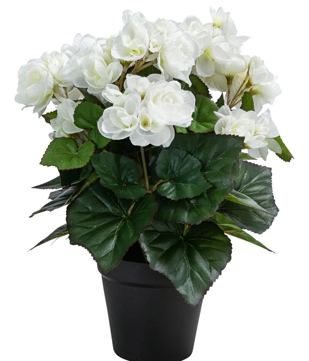 Flower Manufaktur Kunstpflanze Begonie, ca. H33 cm