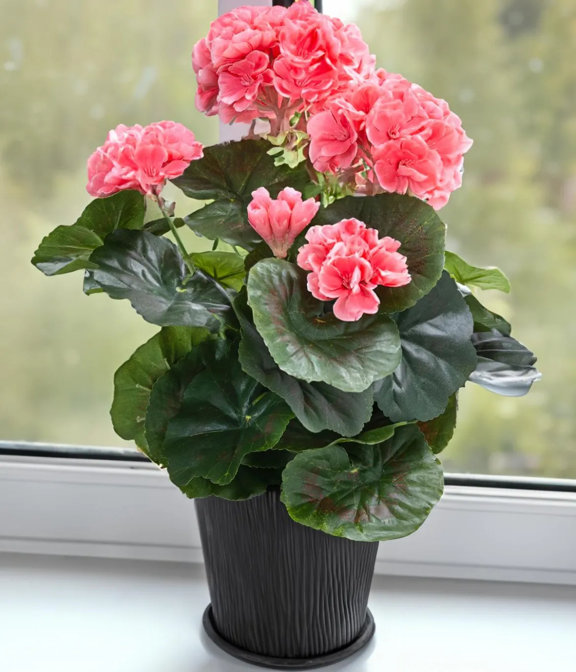Flower Manufaktur Kunstpflanze Geranie, ca. H33 cm