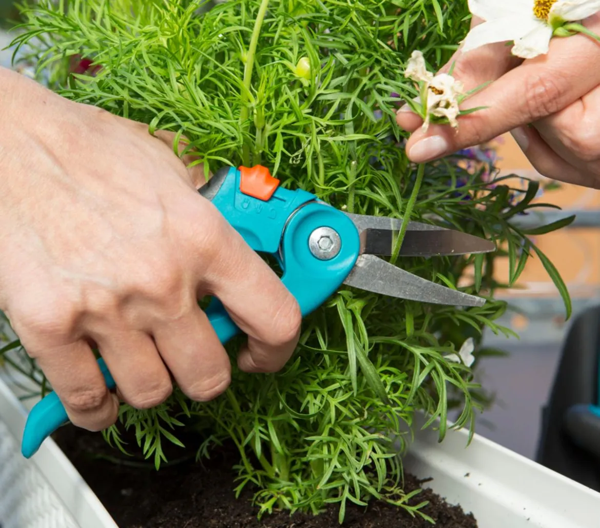 GARDENA City Gardening Balkonschere