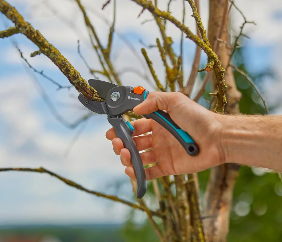 GARDENA Gartenschere PremiumCut Pro Trockenes Holz